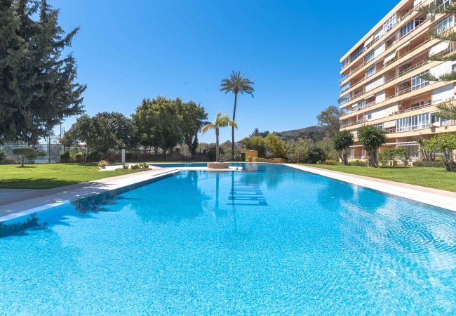 Apartment in Torremolinos - Perfect location! Walk a few minutes to restaurants, lovely beach, town, train and bus.